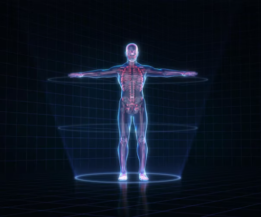 Corpo humano como um sistema de análises: Cuidando da sua saúde e do seu equipamento