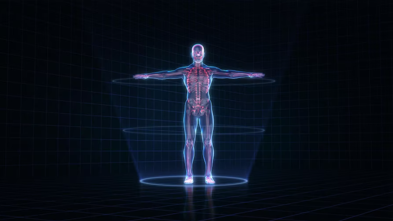 Corpo humano como um sistema de análises: Cuidando da sua saúde e do seu equipamento